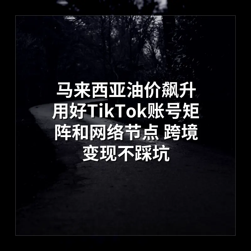 马来西亚油价飙升 用好TikTok账号矩阵和网络节点 跨境变现不踩坑