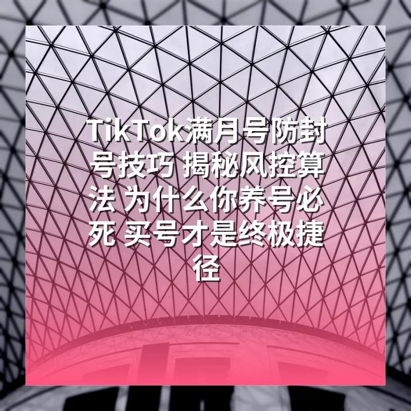 TikTok满月号防封号技巧 揭秘风控算法 为什么你养号必死 买号才是终极捷径