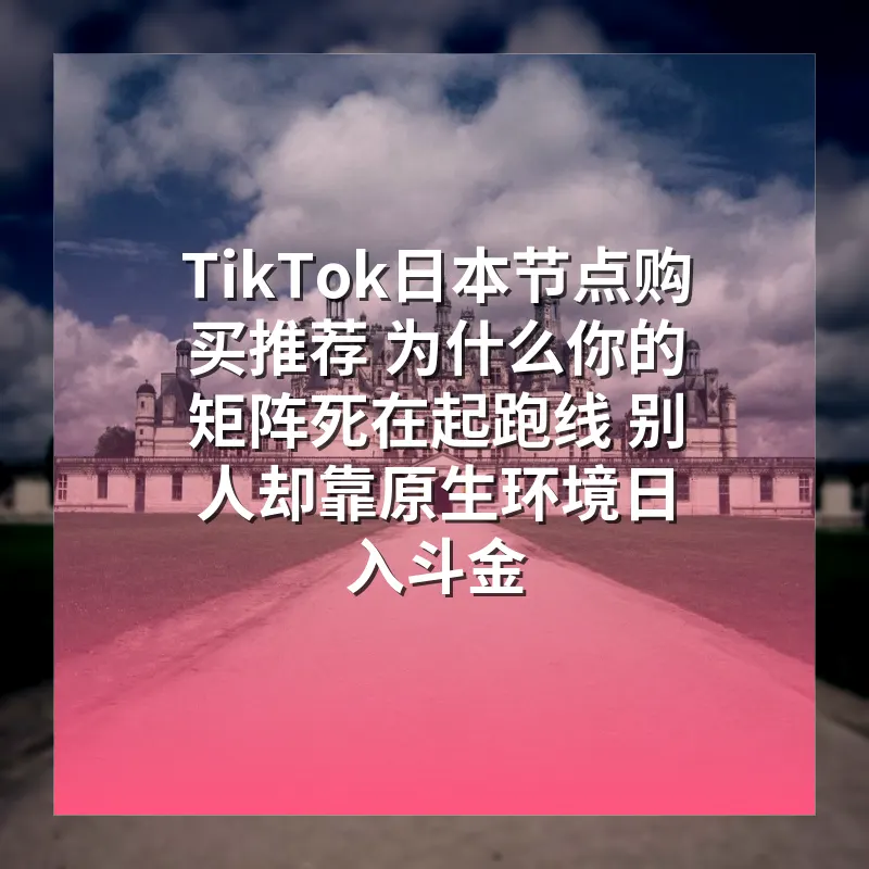 TikTok日本节点购买推荐 为什么你的矩阵死在起跑线 别人却靠原生环境日入斗金