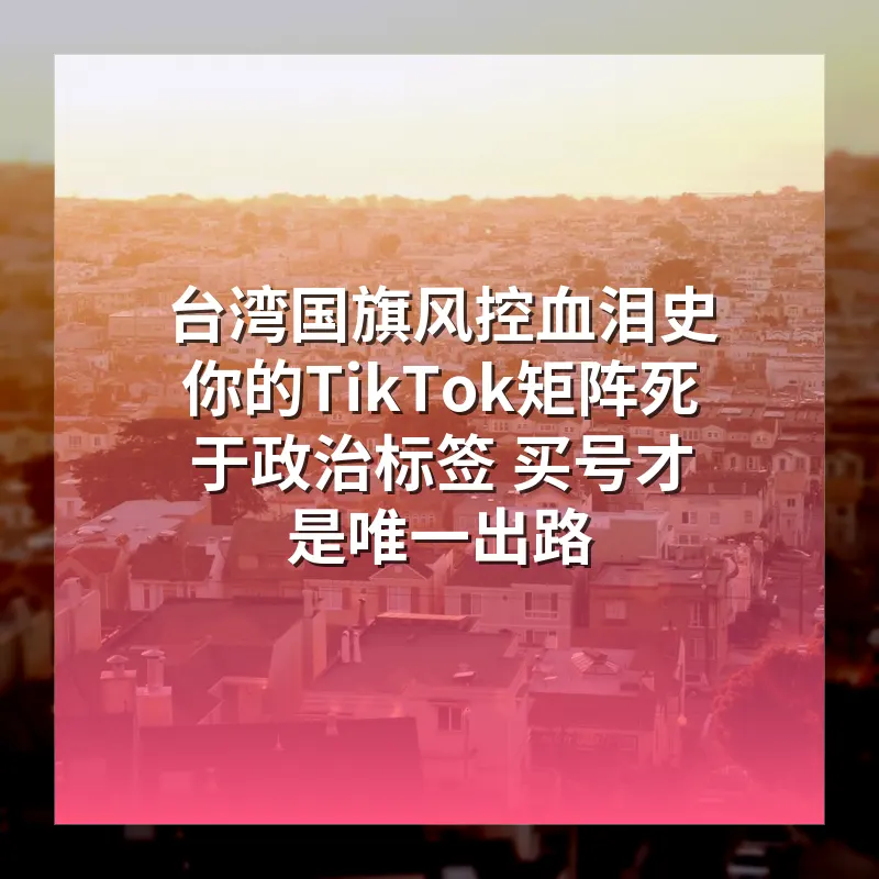台湾国旗风控血泪史 你的TikTok矩阵死于政治标签 买号才是唯一出路