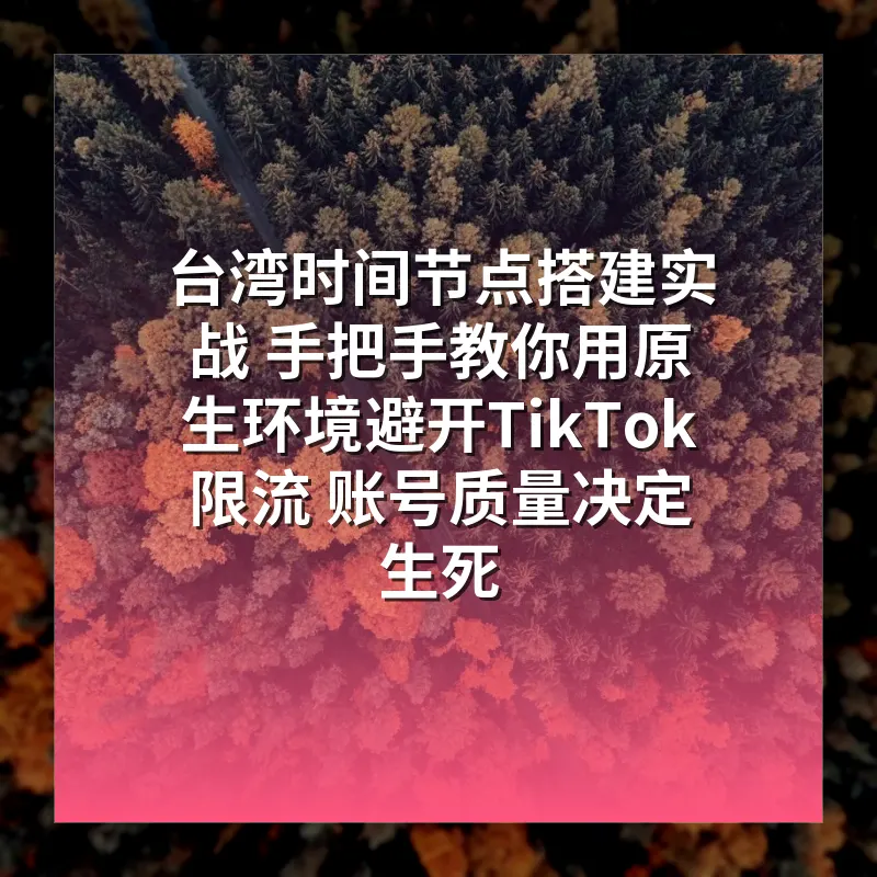 台湾时间节点搭建实战 手把手教你用原生环境避开TikTok限流 账号质量决定生死