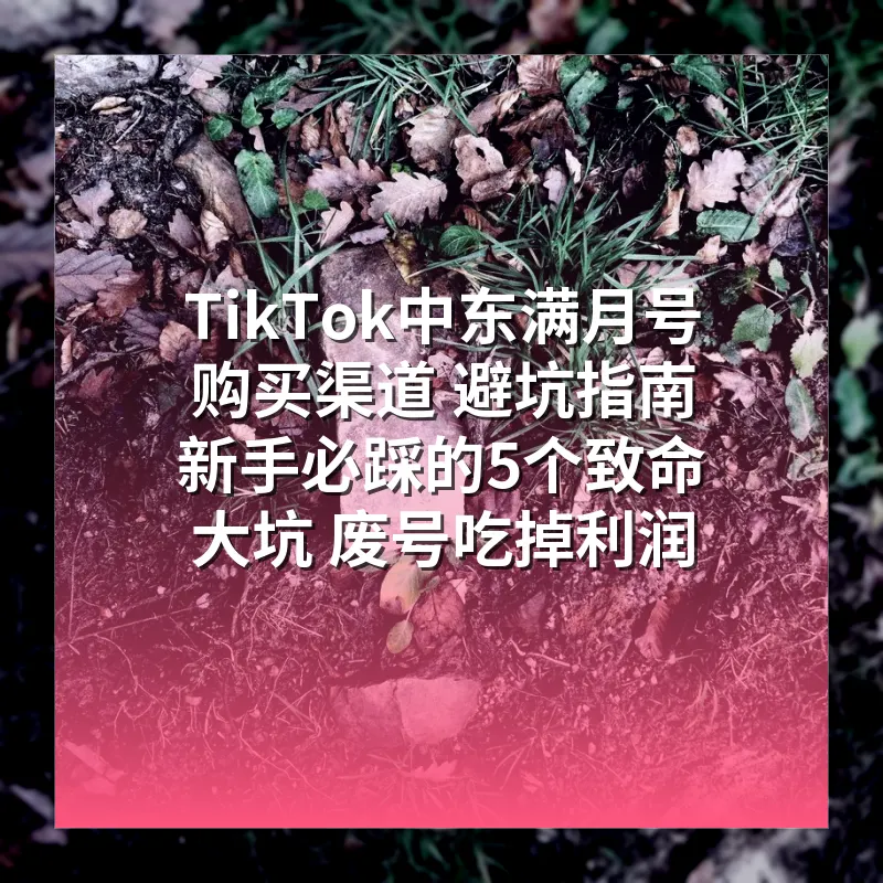 TikTok中东满月号购买渠道 避坑指南 新手必踩的5个致命大坑 废号吃掉利润