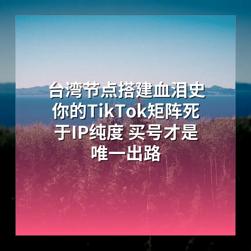 台湾节点搭建血泪史 你的TikTok矩阵死于IP纯度 买号才是唯一出路