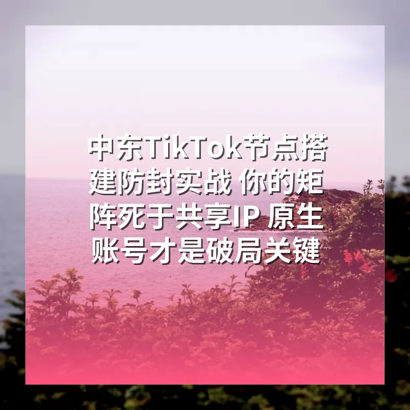 中东TikTok节点搭建防封实战 你的矩阵死于共享IP 原生账号才是破局关键