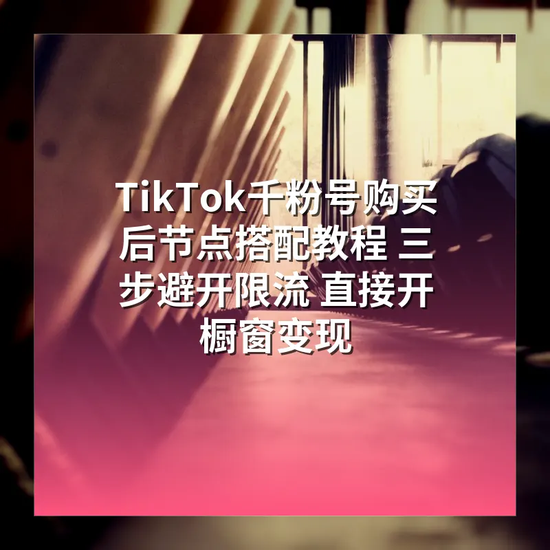 TikTok千粉号购买后节点搭配教程 三步避开限流 直接开橱窗变现