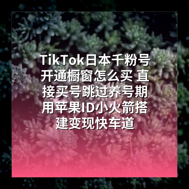 TikTok日本千粉号开通橱窗怎么买 直接买号跳过养号期 用苹果ID小火箭搭建变现快车道