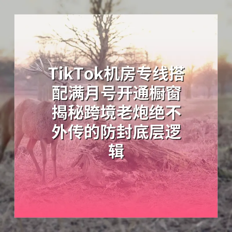 TikTok机房专线搭配满月号开通橱窗 揭秘跨境老炮绝不外传的防封底层逻辑
