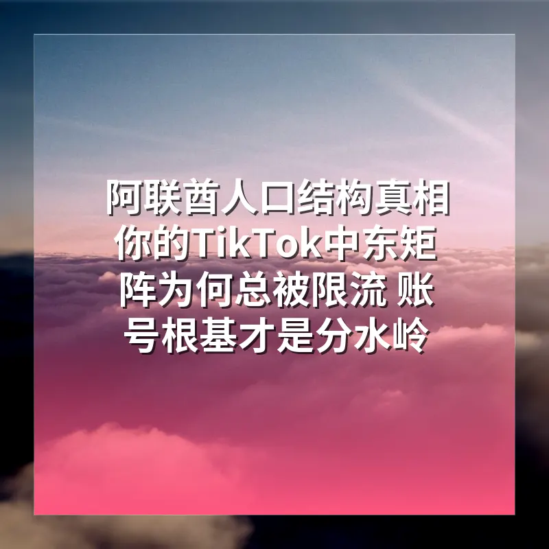 阿联酋人口结构真相 你的TikTok中东矩阵为何总被限流 账号根基才是分水岭