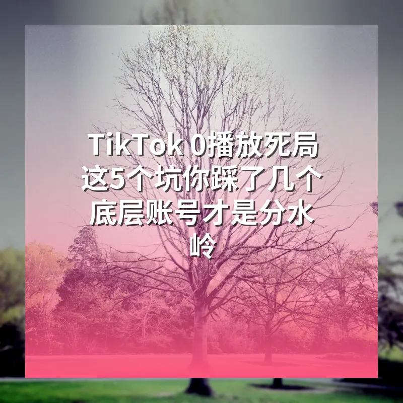 TikTok 0播放死局 这5个坑你踩了几个 底层账号才是分水岭
