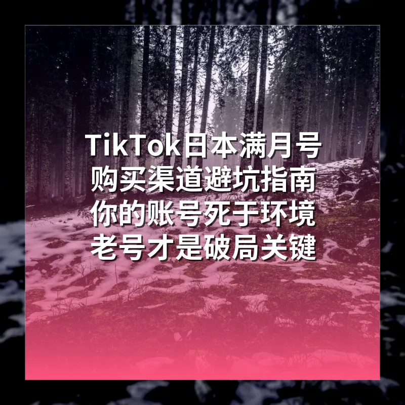 TikTok日本满月号购买渠道避坑指南 你的账号死于环境 老号才是破局关键