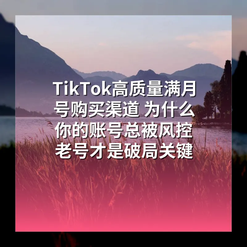 TikTok高质量满月号购买渠道 为什么你的账号总被风控 老号才是破局关键