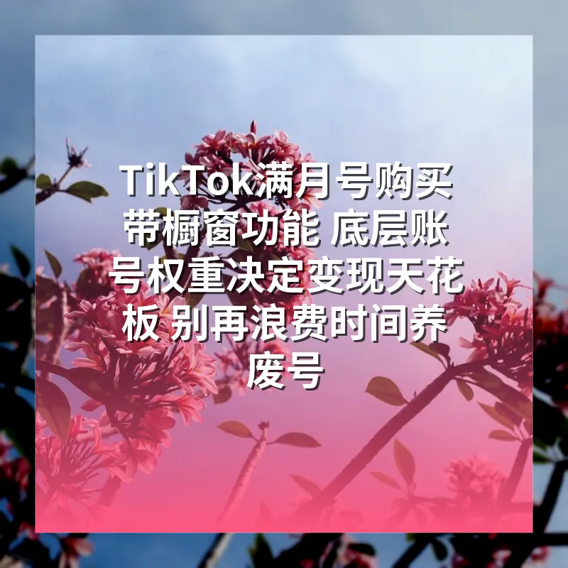 TikTok满月号购买带橱窗功能 底层账号权重决定变现天花板 别再浪费时间养废号