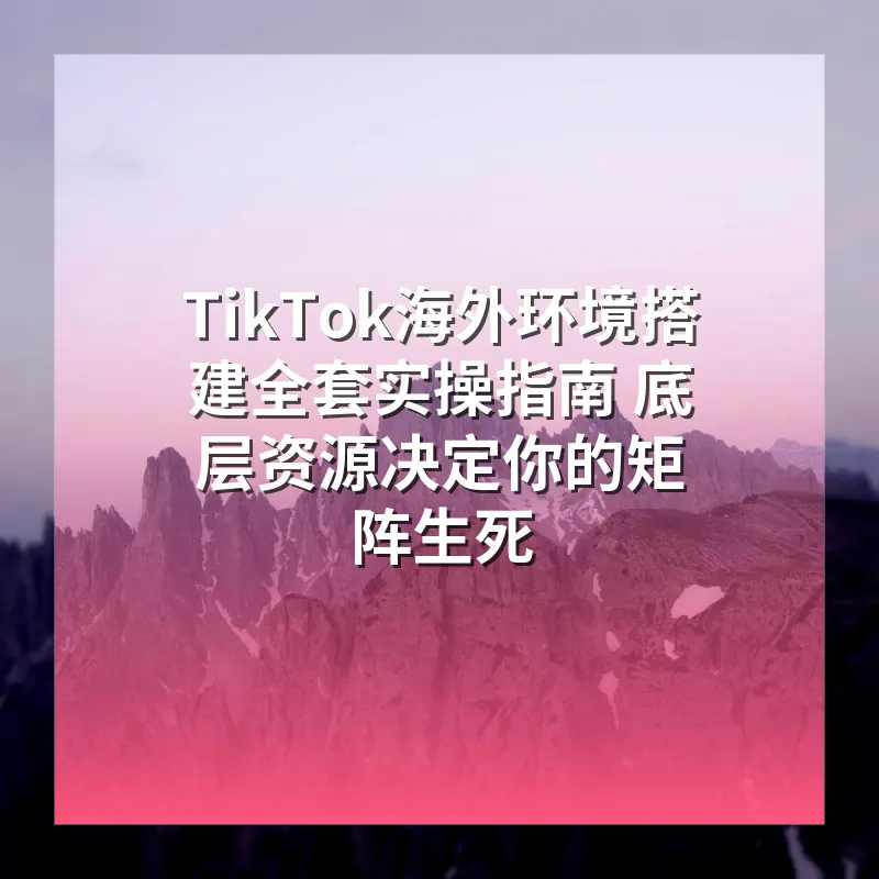 TikTok海外环境搭建全套实操指南 底层资源决定你的矩阵生死