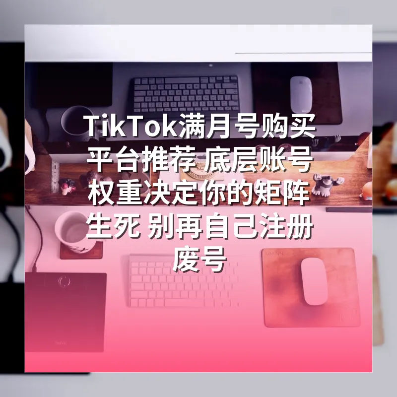TikTok满月号购买平台推荐 底层账号权重决定你的矩阵生死 别再自己注册废号