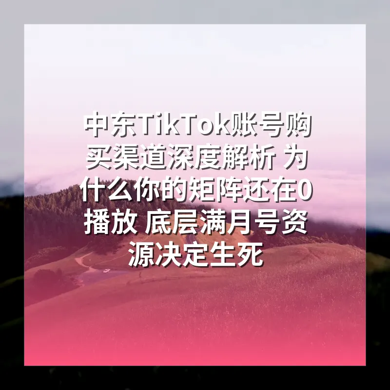 中东TikTok账号购买渠道深度解析 为什么你的矩阵还在0播放 底层满月号资源决定生死