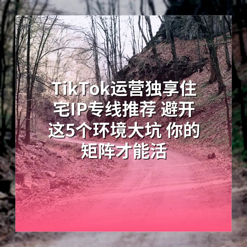 TikTok运营独享住宅IP专线推荐 避开这5个环境大坑 你的矩阵才能活