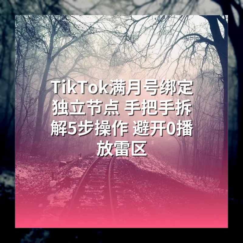 TikTok满月号绑定独立节点 手把手拆解5步操作 避开0播放雷区