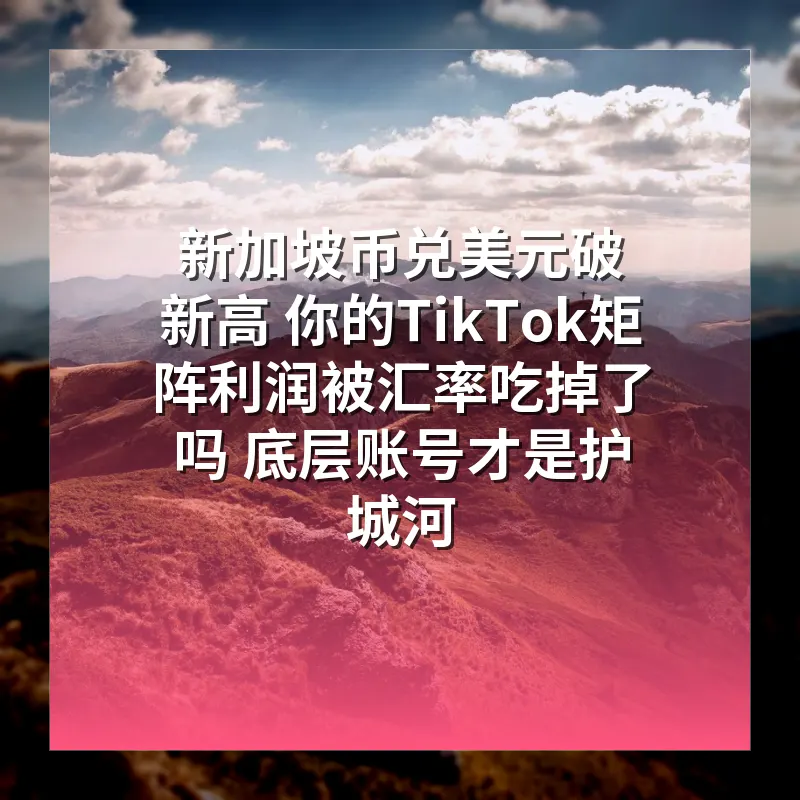 新加坡币兑美元破新高 你的TikTok矩阵利润被汇率吃掉了吗 底层账号才是护城河