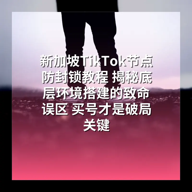 新加坡TikTok节点防封锁教程 揭秘底层环境搭建的致命误区 买号才是破局关键