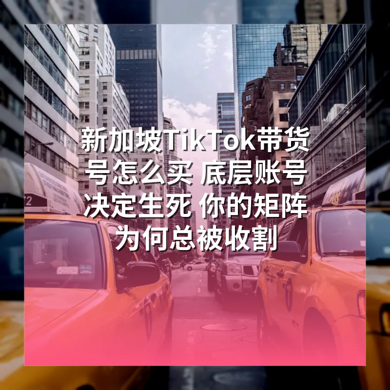 新加坡TikTok带货号怎么买 底层账号决定生死 你的矩阵为何总被收割