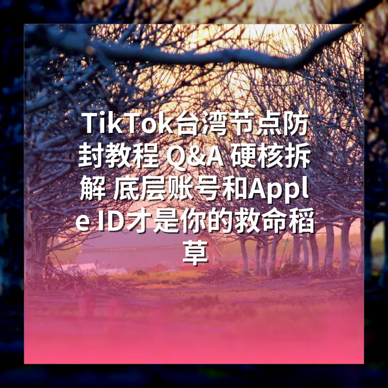 TikTok台湾节点防封教程 Q&A 硬核拆解 底层账号和Apple ID才是你的救命稻草