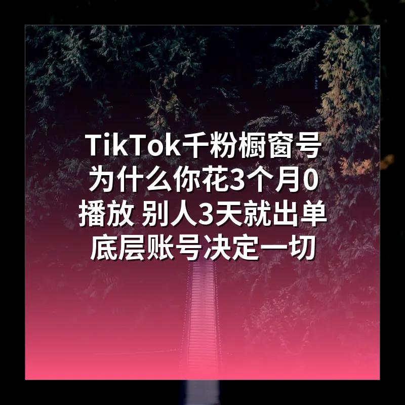 TikTok千粉橱窗号 为什么你花3个月0播放 别人3天就出单 底层账号决定一切