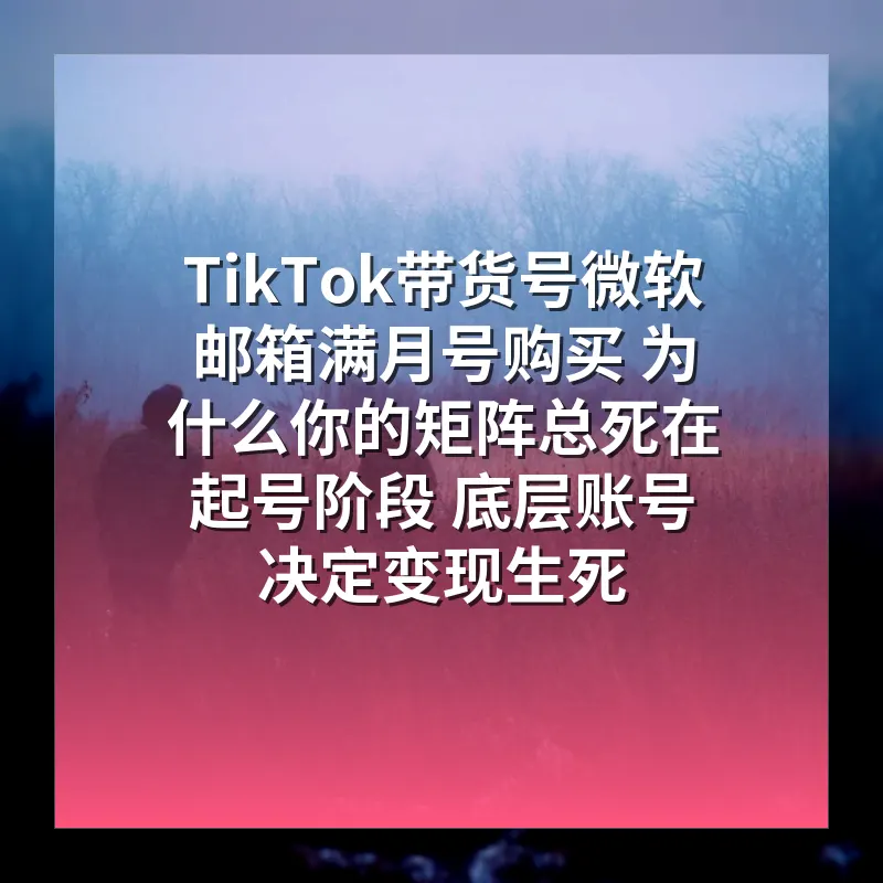 TikTok带货号微软邮箱满月号购买 为什么你的矩阵总死在起号阶段 底层账号决定变现生死