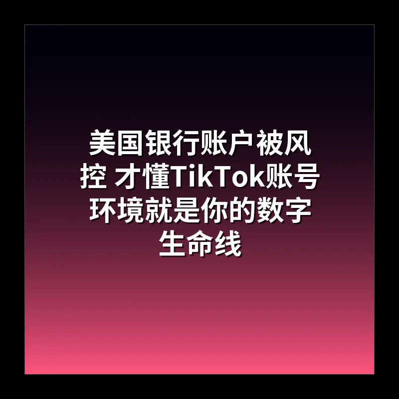 美国银行账户被风控 才懂TikTok账号环境就是你的数字生命线