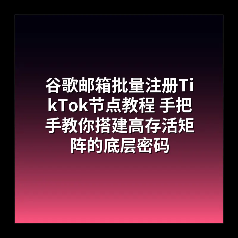 谷歌邮箱批量注册TikTok节点教程 手把手教你搭建高存活矩阵的底层密码