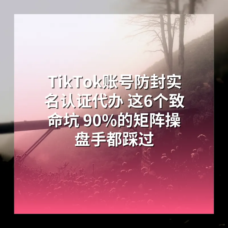 TikTok账号防封实名认证代办 这6个致命坑 90%的矩阵操盘手都踩过