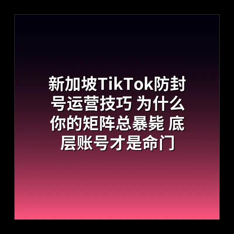新加坡TikTok防封号运营技巧 为什么你的矩阵总暴毙 底层账号才是命门