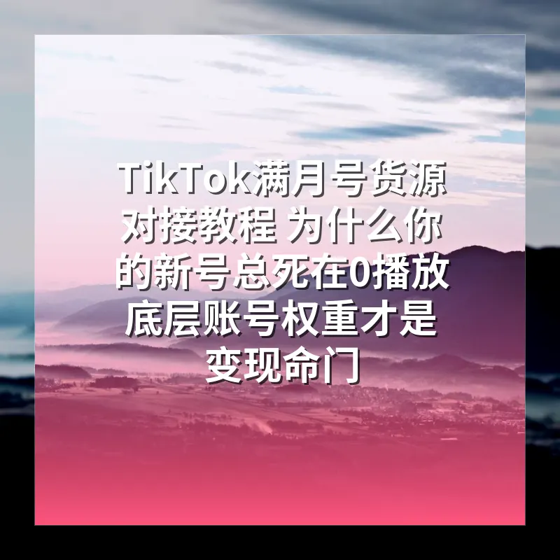 TikTok满月号货源对接教程 为什么你的新号总死在0播放 底层账号权重才是变现命门