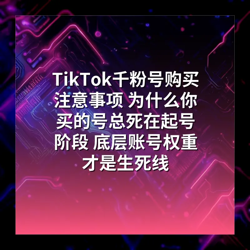 TikTok千粉号购买注意事项 为什么你买的号总死在起号阶段 底层账号权重才是生死线