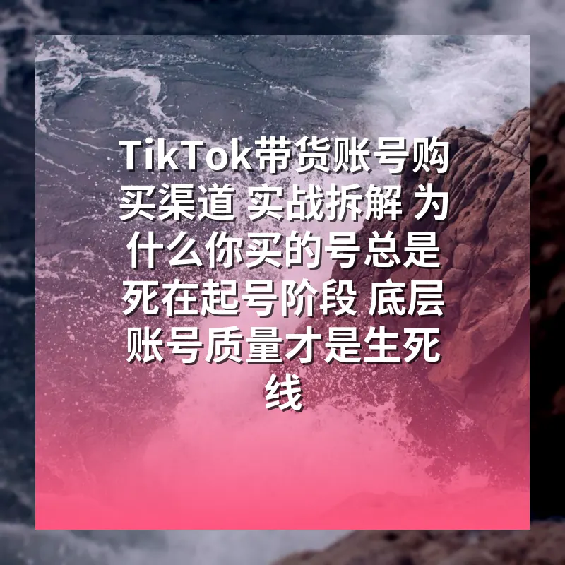 TikTok带货账号购买渠道 实战拆解 为什么你买的号总是死在起号阶段 底层账号质量才是生死线