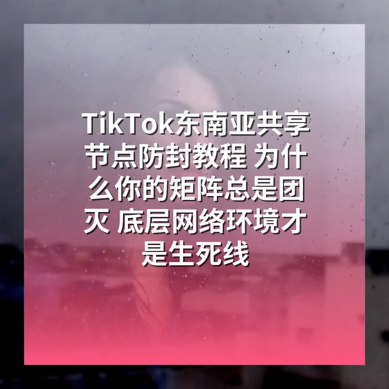 TikTok东南亚共享节点防封教程 为什么你的矩阵总是团灭 底层网络环境才是生死线