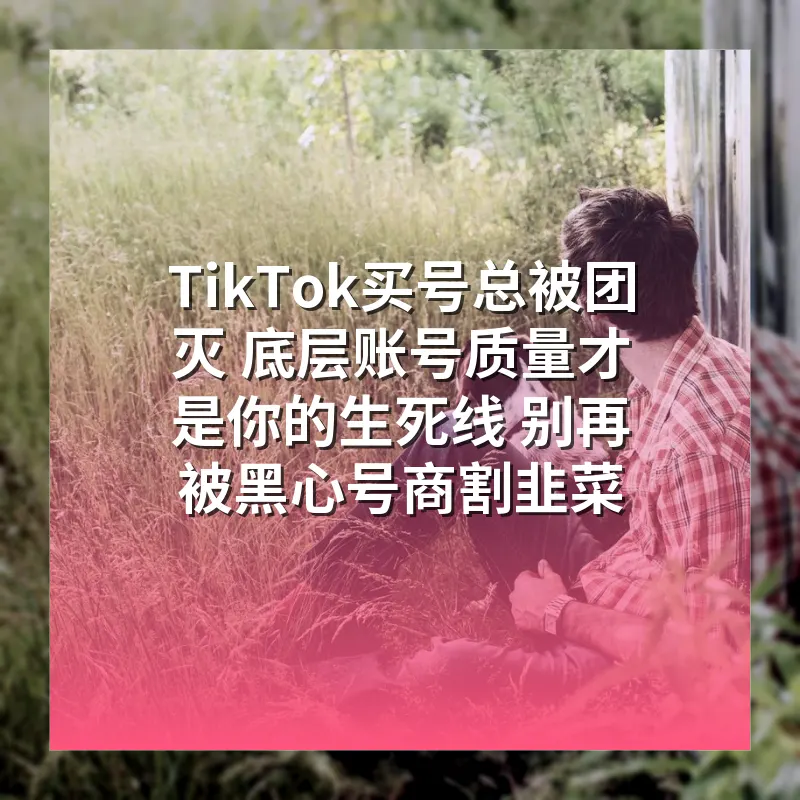 TikTok买号总被团灭 底层账号质量才是你的生死线 别再被黑心号商割韭菜