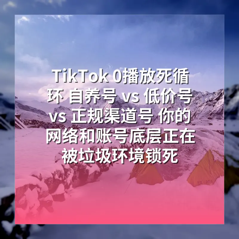 TikTok 0播放死循环 自养号 vs 低价号 vs 正规渠道号 你的网络和账号底层正在被垃圾环境锁死