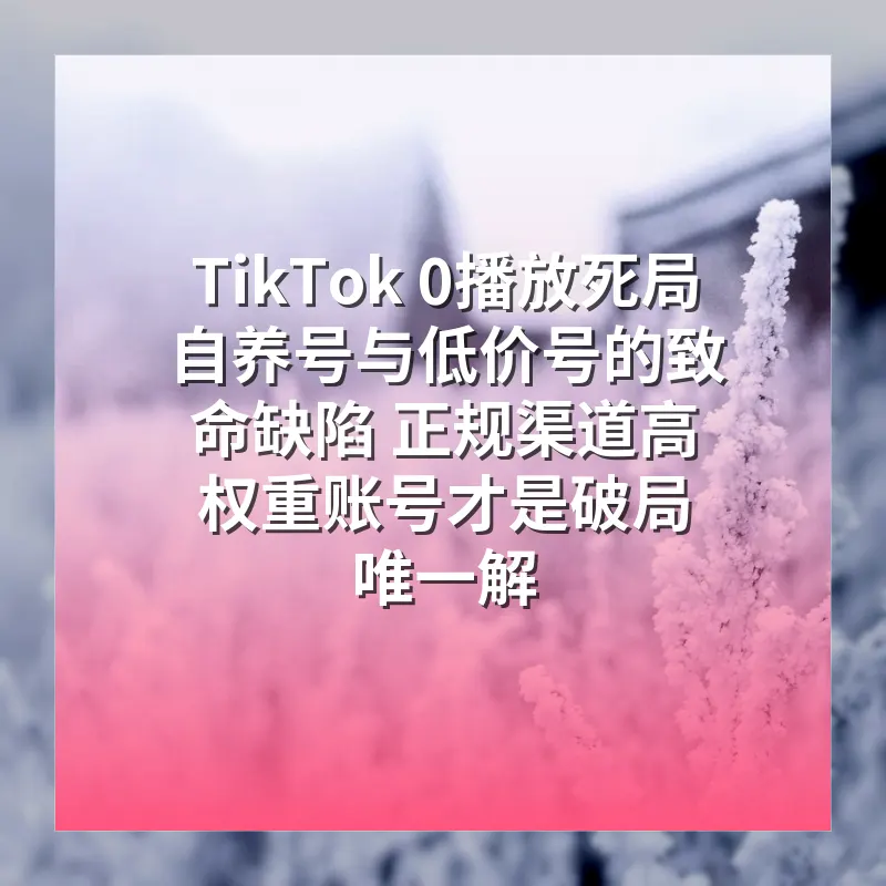 TikTok 0播放死局 自养号与低价号的致命缺陷 正规渠道高权重账号才是破局唯一解