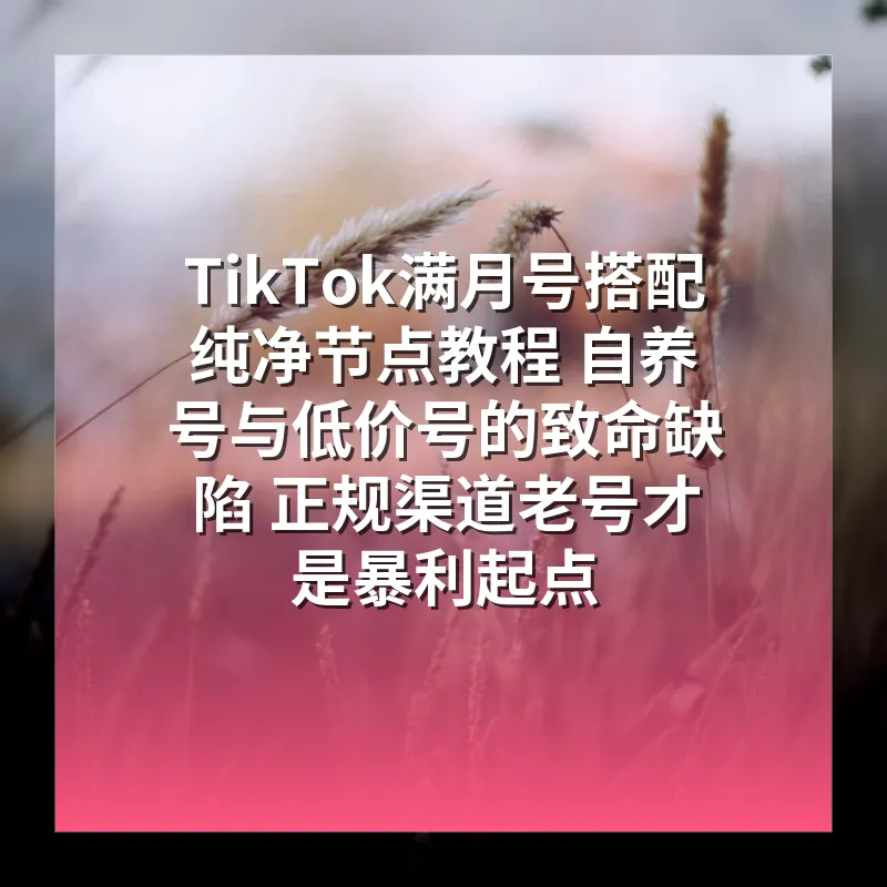 TikTok满月号搭配纯净节点教程 自养号与低价号的致命缺陷 正规渠道老号才是暴利起点