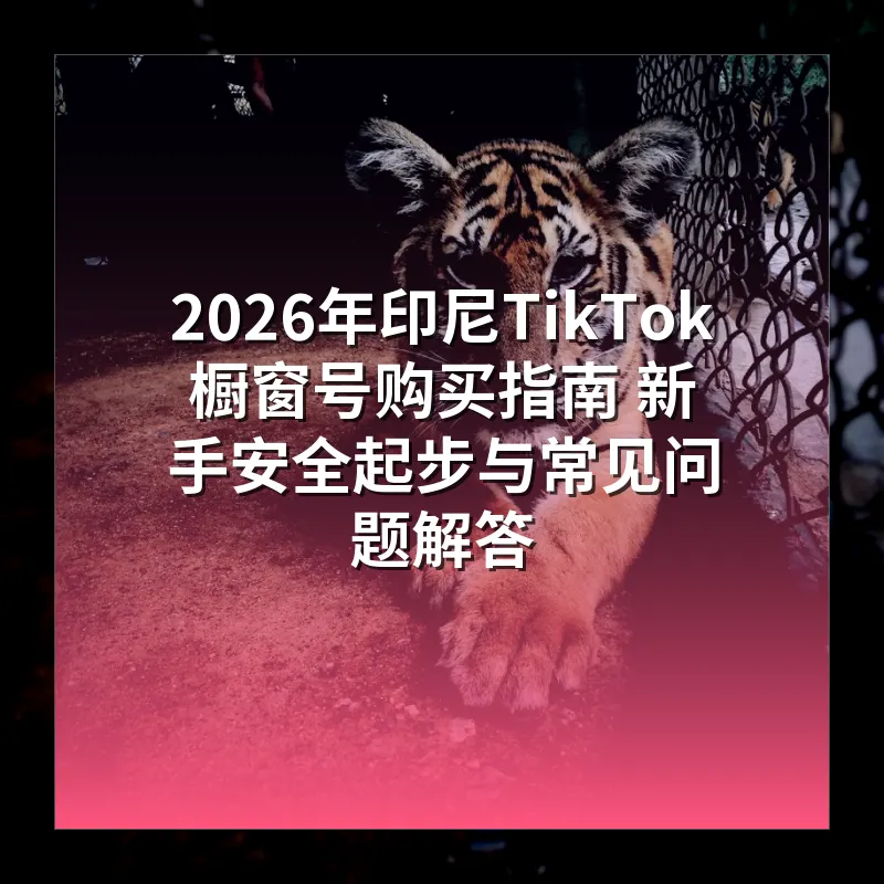 2026年印尼TikTok橱窗号购买指南 新手安全起步与常见问题解答
