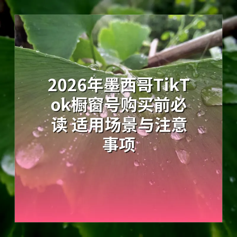 2026年墨西哥TikTok橱窗号购买前必读 适用场景与注意事项